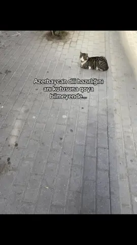 Kaş yene qayıtsa o günlerr🥹🫠 #hazırlıq #azerbaycandili #kesfetbeniöneçıkart #kesfetteyiz #kesfett 