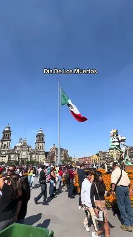 CDMX te amoooo🇲🇽 #diadelosmuertos #cdmx #fyp #paratiiiiiiiiiiiiiiiiiiiiiiiiiiiiiii 