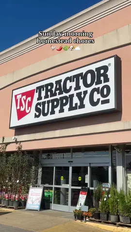 Happy Sunday, friend! Had to swing by @TractorSupply for some coop things before we got started on Sunday chores 💛 #homesteadtoktok #homesteadlife #chickencoop #cozyliving 
