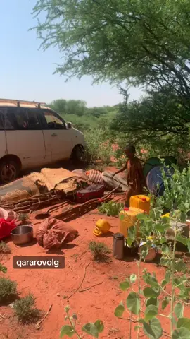 #qararo_hawiye🦁😏 #qararohawiye #somalitiktok #qararovolgs #song 