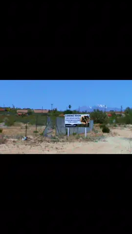 flemme. nov 14 🏜️🌵 #flemme #gainsbourg #60s #retro #newmusic 