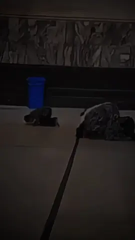 يا بني أقم الصلاة وأمر بالمعروف وانه عن المنكر #قرآن_کریم #foryou #you #سعود_الفايز 