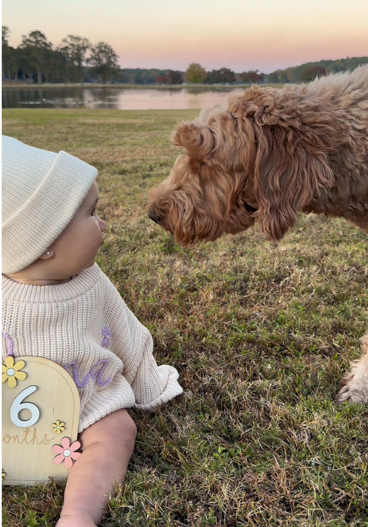 The crazy thing about Elena being 6 months is that sometimes I feel like I didn’t properly say goodbye to her newborn self. Like omg 😱 she was so small! I am loving every moment with her. Watching her grow is a blessing 