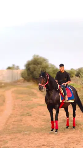 #روزر❤️🔥 #يربح_من_يصلي_عن_النبي🌙 #مصرته_الصمود🔥❤✌ #ليبيا #قماطه_قصرالاخيار 