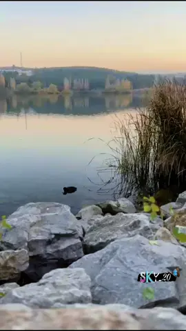 #تركيا🇹🇷اسطنبول #أنقرة #سوريا🇸🇾 #العراق_السعوديه_ #الكويت_   