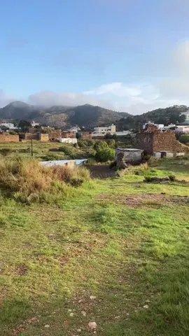 زبنة 🌿🌳 #ابها #باحة_ربيعة #زبنة_ال_شدادي_باحة_ربيعة #اغسطس_٢٠٢٤ 