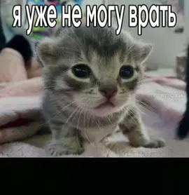 Скучала по вам, сорри что мало видосов в эти пару дней хехе. Скоро вернусь в том де темпе)  Спасибо вам всём больше за столько лайков, подписчиков и просмотров ❤ Я вами дорожу)  Все щт не мои! Из пинтереста) Скучать — это: Испытывать скуку. Состояние тоски, с трудом переносимой апатии, болезненного равнодушия к окружающему, обычно вызываемое бездельем или отсутствием интереса к кому-либо или чему-либо.  Болезненно или с лёгкой грустью ощущать отсутствие кого-либо или чего-либо. Например, скучать без людей, без мужа, без семьи, без книг, без работы.  Болезненно, глубоко переживать разлуку с кем-либо или чем-либо. Например, скучать по родным, по дому, по родному городу. Также в устаревшем значении — тяготиться чем-либо, докучать, надоедать кому-либо.  #кот #озвучка #щт #рекомендации #fyp #мем #котята #cat #kitty #смех #funny #tiktok #скучаю #болею 