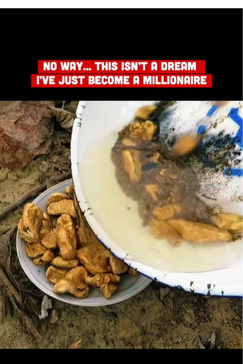 #treasurefinds #treasure #gold #diamond #treasurehunt 