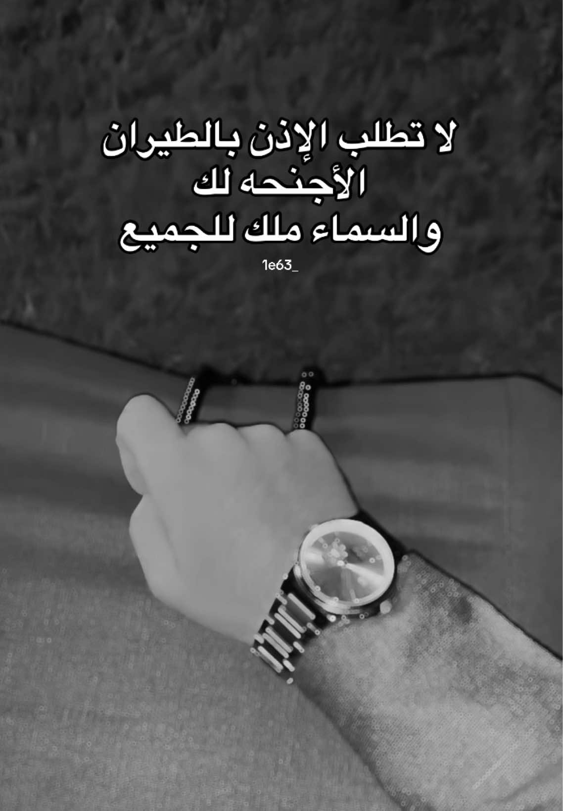 #creatorsearchinsights  السماء ملك الجميع 🤫#نسر_آل_دليم🦅 