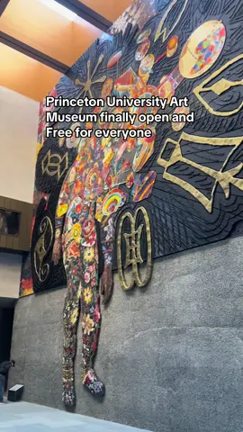 The coolest thing I’ve ever seen at Princeton #princetonuniversity #mirajur1 #artmuseum #fyp #princeton 
