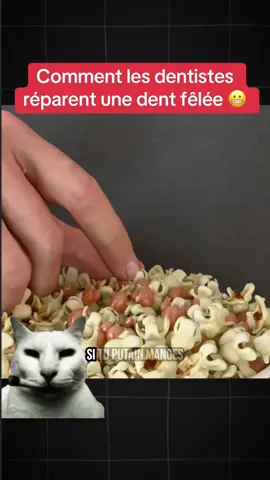 Comment les dentistes réparent une dent fêlée 😬 #animation #explication #savoir #dentaire #sante 