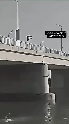 سباحه كوسج يلا باي