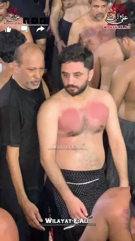 #wilayaeali514 #foryou #Azadari #followme #Azadari 