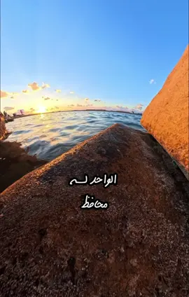 الفرق كبير جدا👌🏻 #following #viral #fyp #fy #foryou 