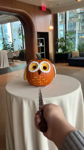 Este es mi primer Hallowen oficial #nyc #halloween #pumpkinseason 