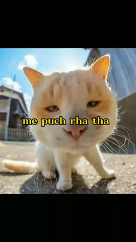 😕#foryoupageofficiall #foryou100kviews #myaccountunfreze🙏🥺 #myaccountunfreze🙏🥺viral #myaccountunfreze🙏🥺viral 