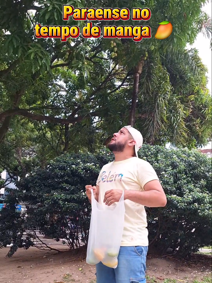 Paraense no tempo de manga 🥭  #tempodemanga #belemdopará #paraenseraiz #culturaparaense #belemdopara 