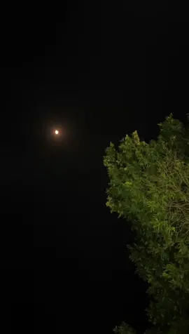 #الشتاء #الشتاء_البرد_اجواء_شتويه #ترند #ترندات_تيك_توك #تصميم_فيديوهات🎶🎤🎬 