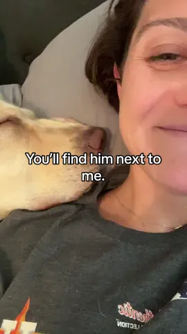 The joke continues that male labs love their moms more than anyone in the world. He’d wear me as skin if he could. #dogmom #labradorretriever #dogmomlife 