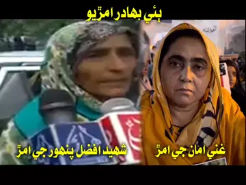 #ReleaseGhaniAman #releasesarmadmirani #sindhistatus #foryou #foryoupage 