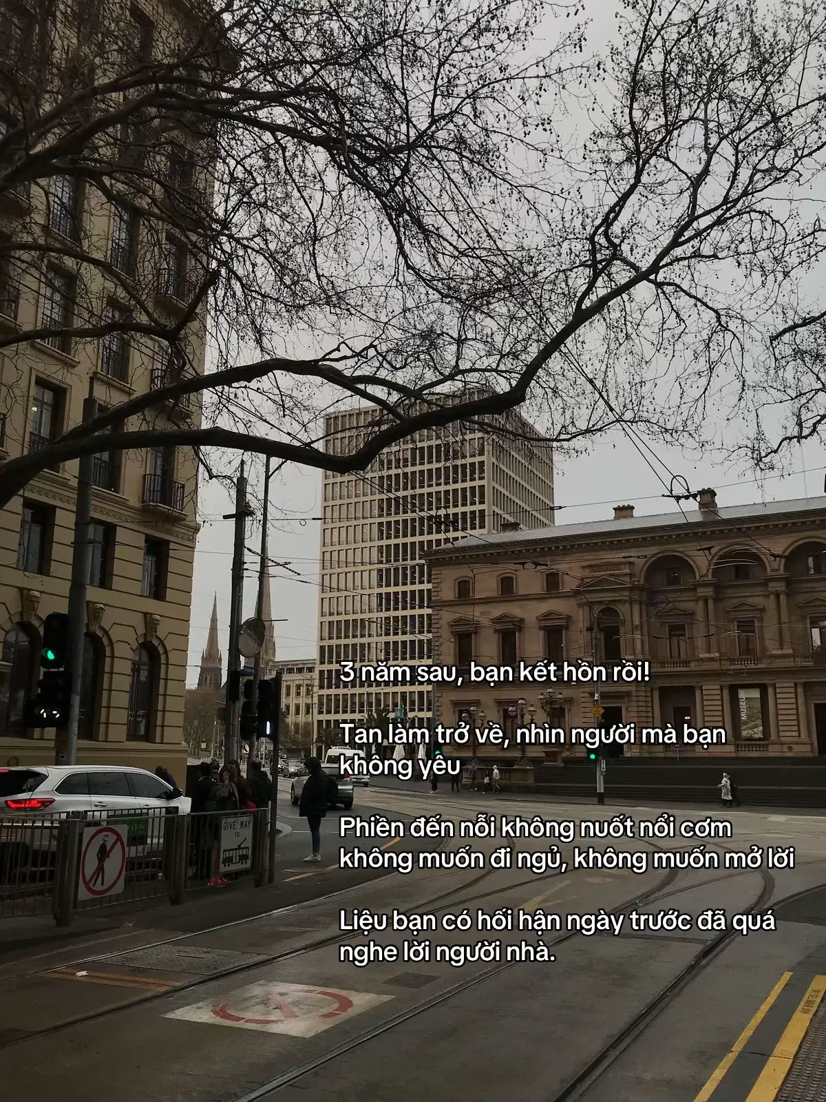 #gentlemind #foryou #healing #life #suutam 