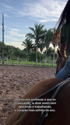 Nem é meme 😭                                         #cavalo #fyo #vaiprofycaramba #mem 