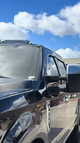 Got ran off the road but atleast th Dog is cool #fyp #foryou #foryourpage 