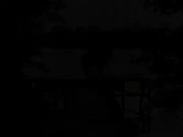 #قصائد_حسينيه #الامام_الحسين #الامام_العباس #تصميمي #اهل_البيت_عليهم_سلام 