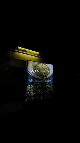 Galkcyo bilan🔥🫶🏻#@EMTI👸🏼🌸 #galkcyonightvuew🔥🔥🙌🏻 #aljasiiragarden😮‍💨🔥 #somalitiktok120somli #galkcyobilan🇸🇱🏡🥰 #galkcyo🇸🇱👈_mudug 