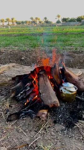 #شعراء_وذواقين_الشعر_الشعبي🎸 