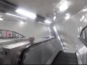 #vibe #fypシ゚ #on #fyp #white 