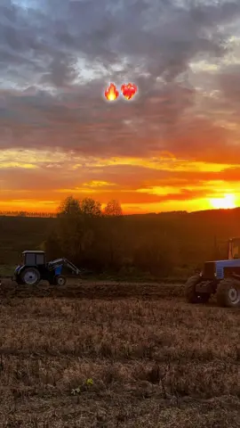 #сельскоехозяйство #беларусь #механизаторы #молодойтракторист #марийэл 