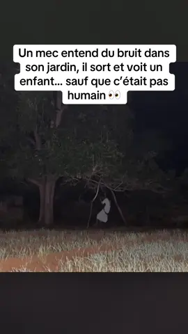 Un homme tranquille chez lui entend des bruits étranges venir du jardin. Pensant à un animal, il sort avec son téléphone, mais découvre une silhouette assise sur la balançoire, qui se balance toute seule sans vent. Les voisins affirment qu’un ancien enfant y aurait perdu la vie il y a des années… #p#paranormalf#frissonh#horreurt#tiktokfrbalançoire 