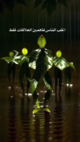 #motivation #loveyourself #reality #fact #tiktok 