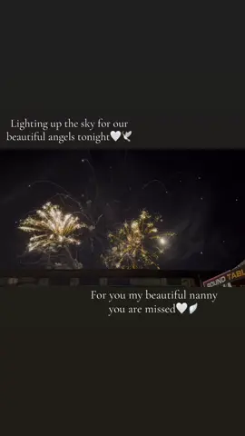 🤍🪽#ourangels #for #you #viral #fireworks 
