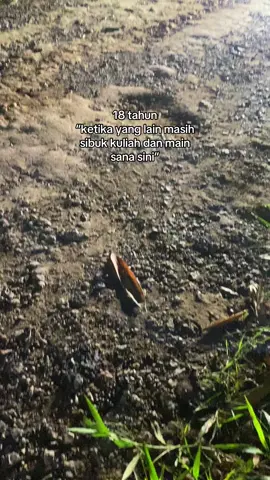 Stay healthy😇@Frendy @Ari @EZRA 😎 