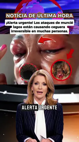 #usa #breakingnews #unitedstates 