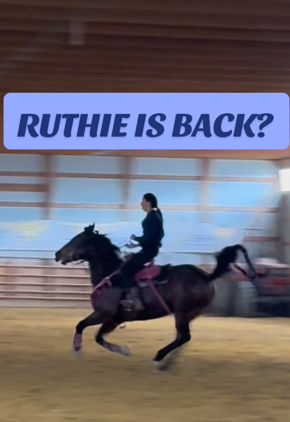 Getting her tuned up for FAYE 🤯 #fyp #foryou #barrelracing #horsesoftiktok #viral 