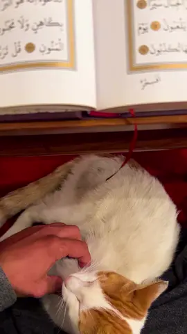 “Allah’ım! Kalbime büyük bir nûr ver; gözüme bir nûr, kulağıma bir nûr ver; sağıma bir nûr, soluma bir nûr ver; üstüme bir nûr, altıma bir nûr ver; önüme bir nûr, arkama bir nûr ver; bana büyük bir nûr ihsân eyle!”