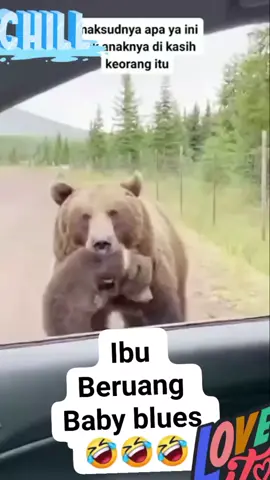 ketika beruang udah bosan ngurusi anaknya,,😂🤣🤣 #lucu_ngakak  #fypシ 