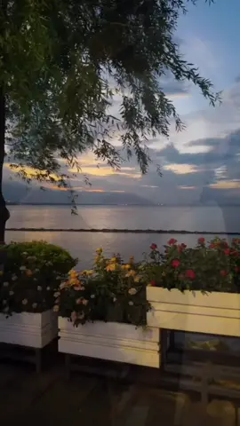 تعلمت في هذه الحياة أن لا أنتظر من آحد .🦋🖇 #كلام_من_القلب #كلام_حقيقي_من_واقع_الحياة🌍 #عبارات #fyp #viral 