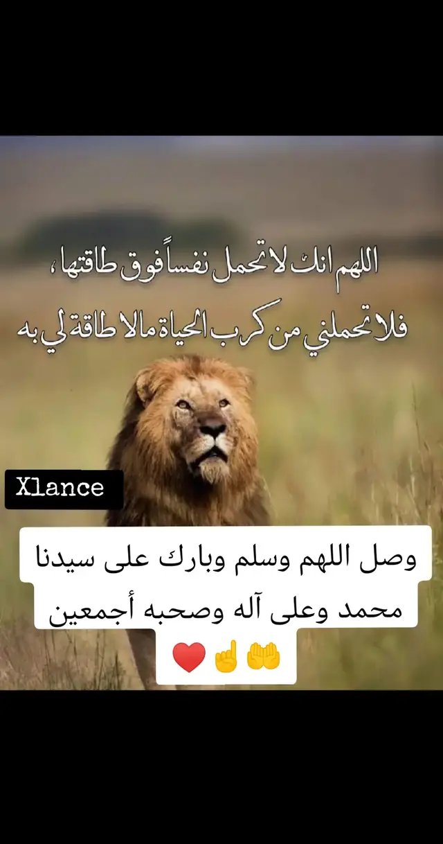 #صلوات ربي وسلامه عليك يا حبيبي يا رسول الله #مصر #الإمارات #الغربة#دبي_امارات #السعودية #اكسبلور #المغتربين 