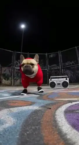 POV: you meet the real king of the dance floor 😎🐕‍🦺 DogDance #humor#comedy #dog #dance#funnyvideos