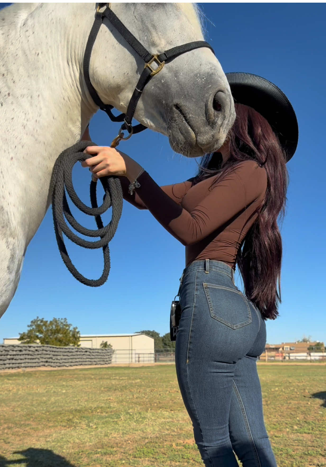 #horses #truck #ramtrx