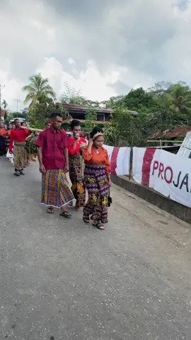 Pigang Pitu, Makok Walu   Naruk Megung Sape Dude Dading #adat #maumere #maumere_manisee #adatmaumeresikka 