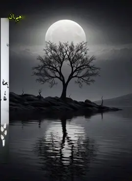 #😊 #اقوال_خلدها_التاريخ #امثال#اقتباسات#هيمان 