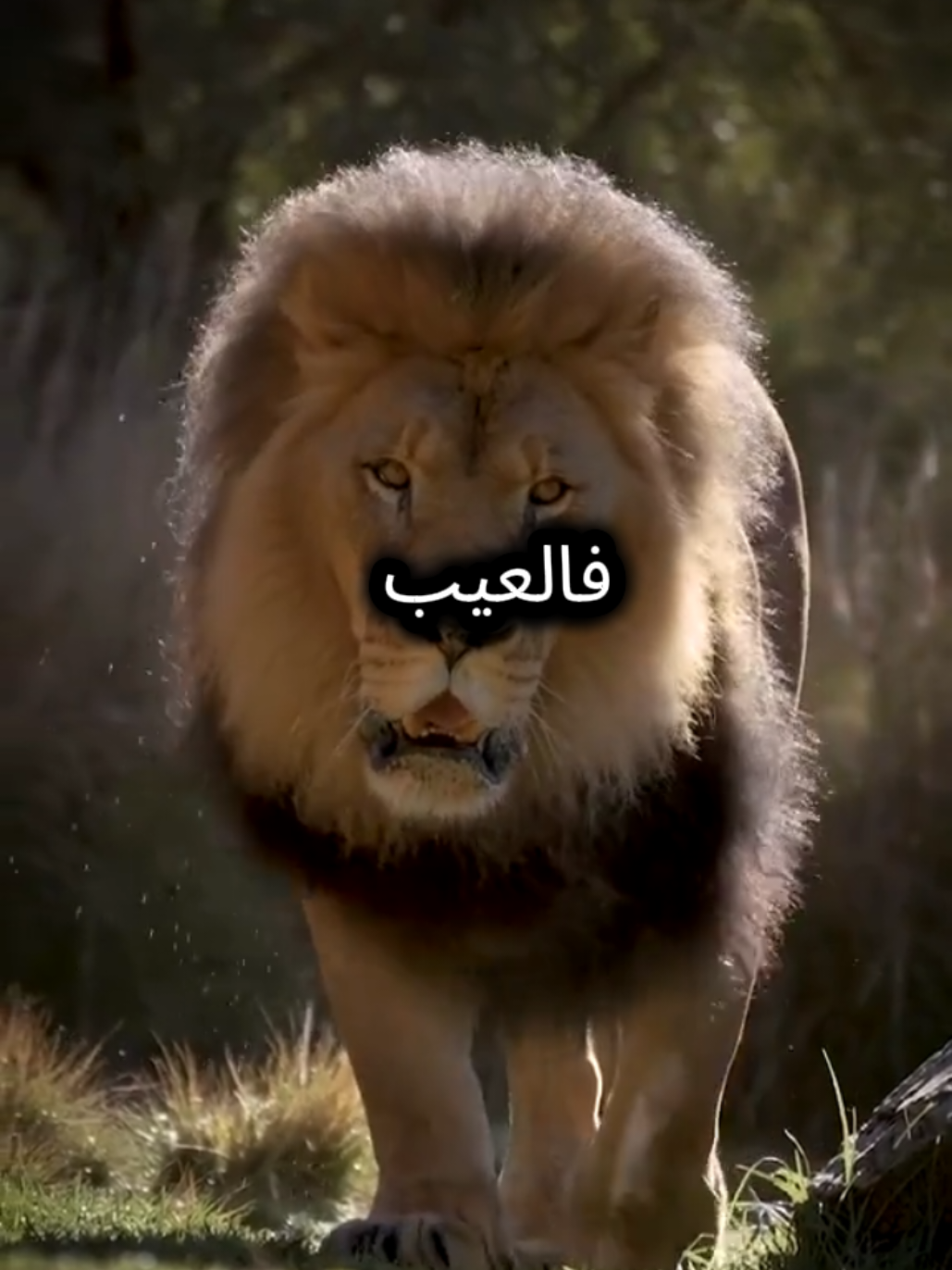 ليس الفقر ان ترتدي ثوبا بسيطا #كلام_من_ذهب #اقوال_وحكم_الحياة #اقتباسات_عبارات_خواطر #المواقف #elahmedg1 