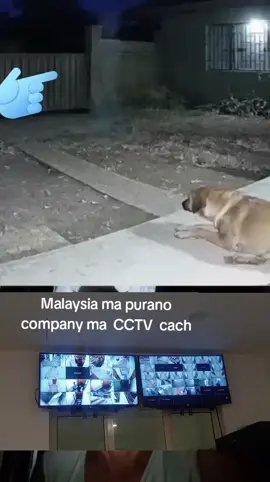 #creatorsearchinsights 