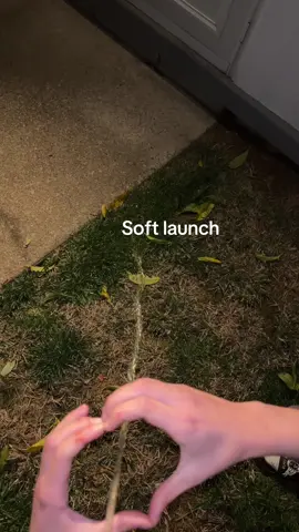 Yumm #fyp #couplegoals #softlaunch #ilovemybf 