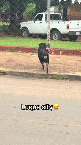 🤣#paratiiiiiiiiiiiiiiiiiiiiiiiiiiiiiii #fyp #viral #paraguay 